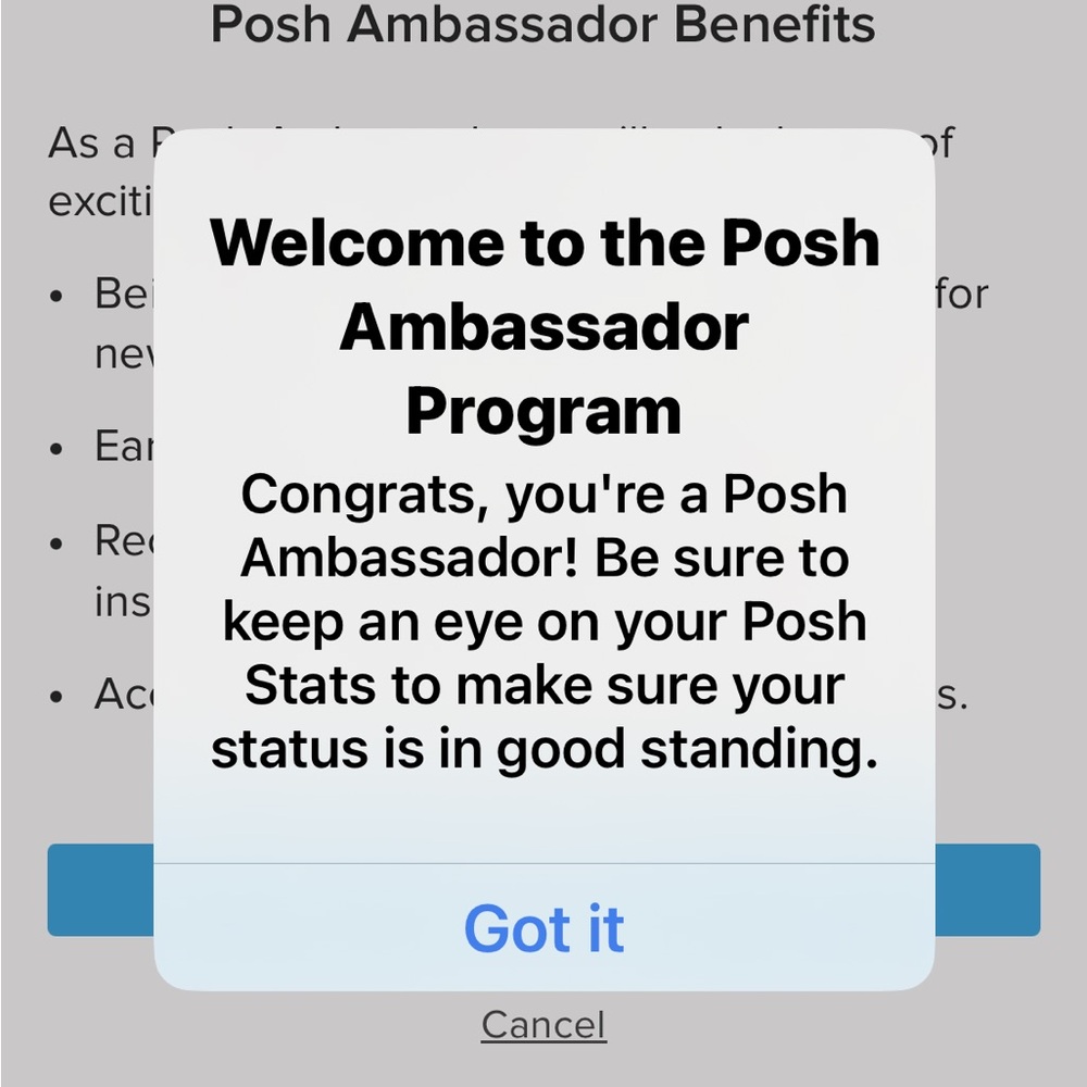⭐️Ambassador II ⭐️ - Picture 8 of 10